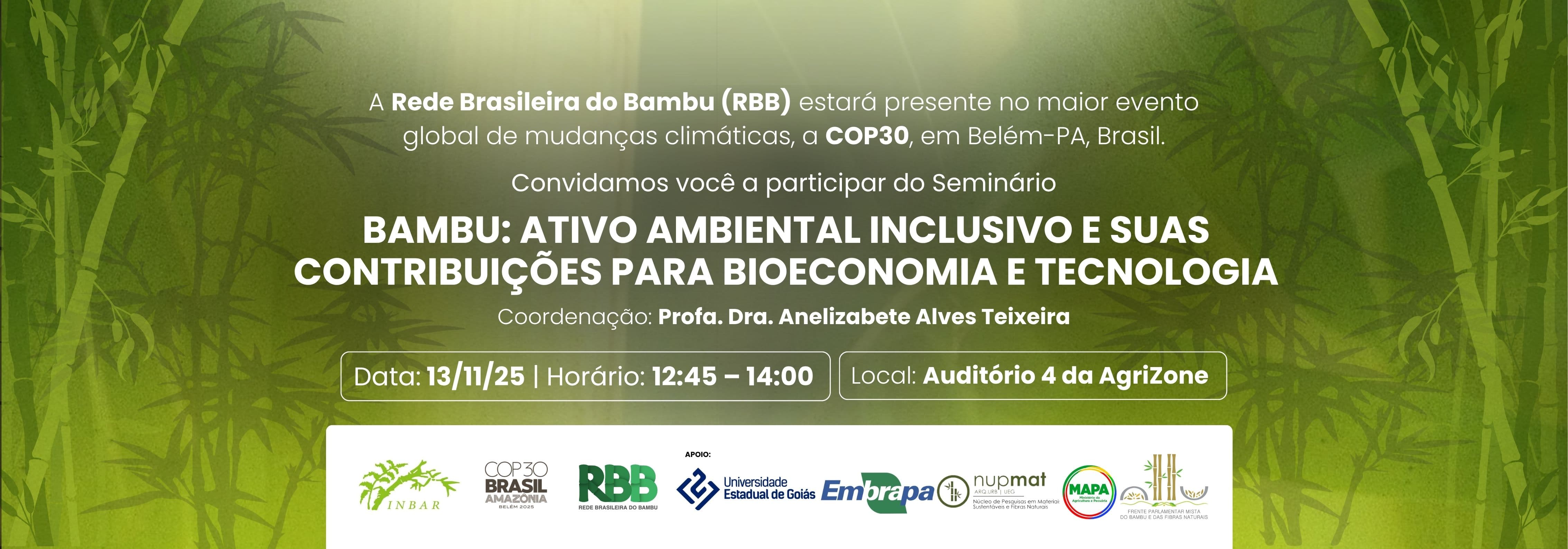 Participação da RBB na COP30